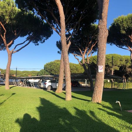 Calma La Barrosa Apartamento Chiclana de la Frontera Eksteriør bilde